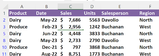 Filtered Excel spreadsheet showing only rows with North or West regions