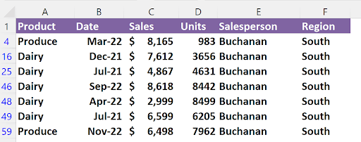 Filtered Excel spreadsheet showing only rows where Salesperson is Buchanan and Region is South