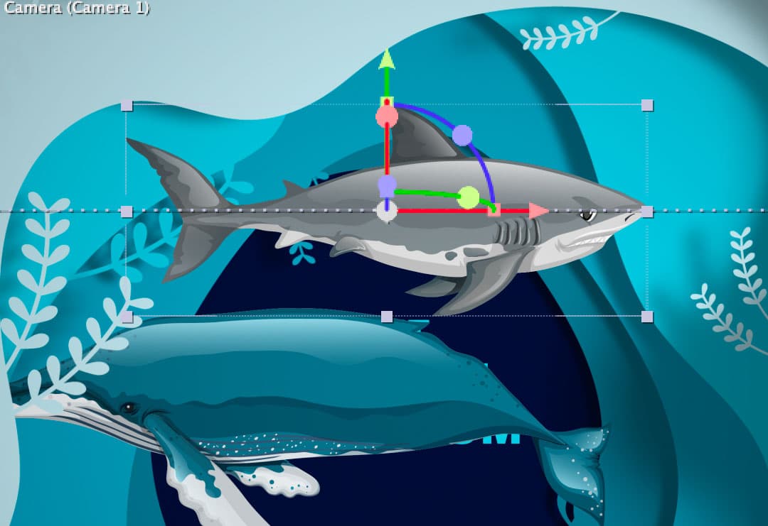 shark center