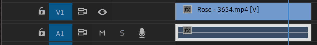 Premiere Pro Timeline showing the Rose footage video layer with audio layer to be deleted
