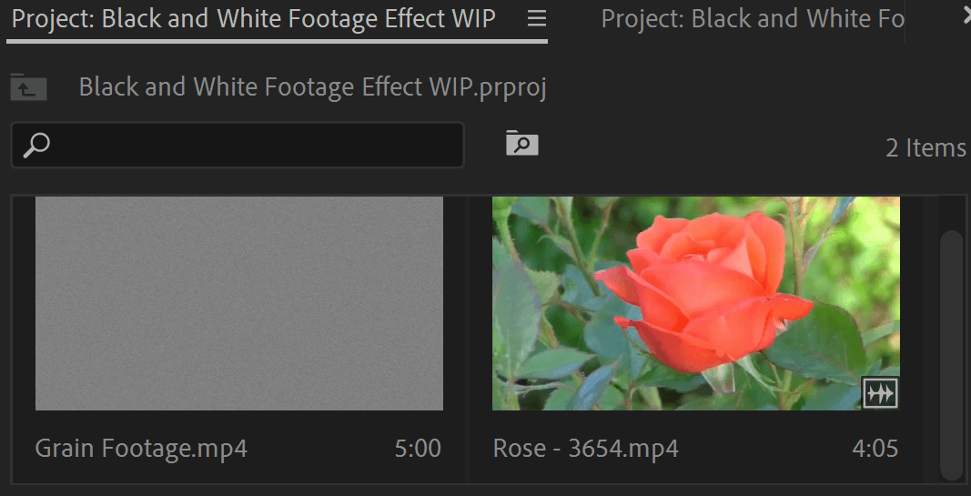 Premiere Pro Project Bin showing the Rose footage clip loaded and ready for editing