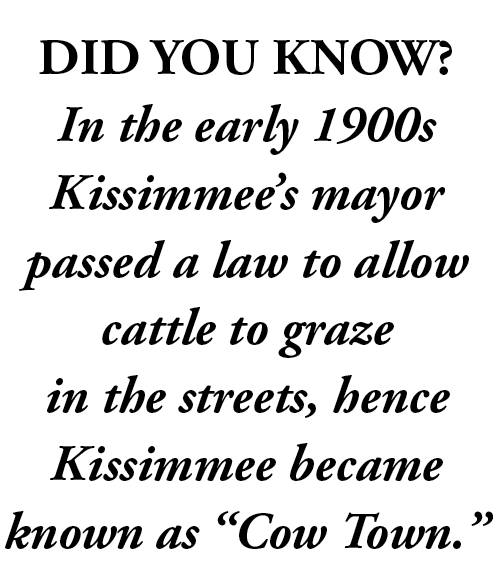 kisssimmee did you know text