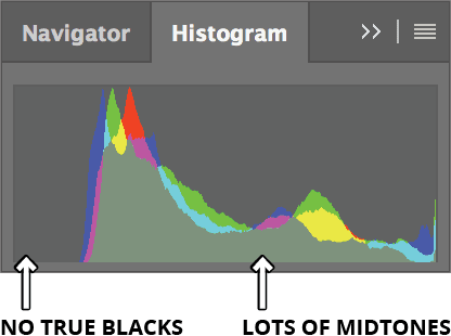 horse fam histogram panel