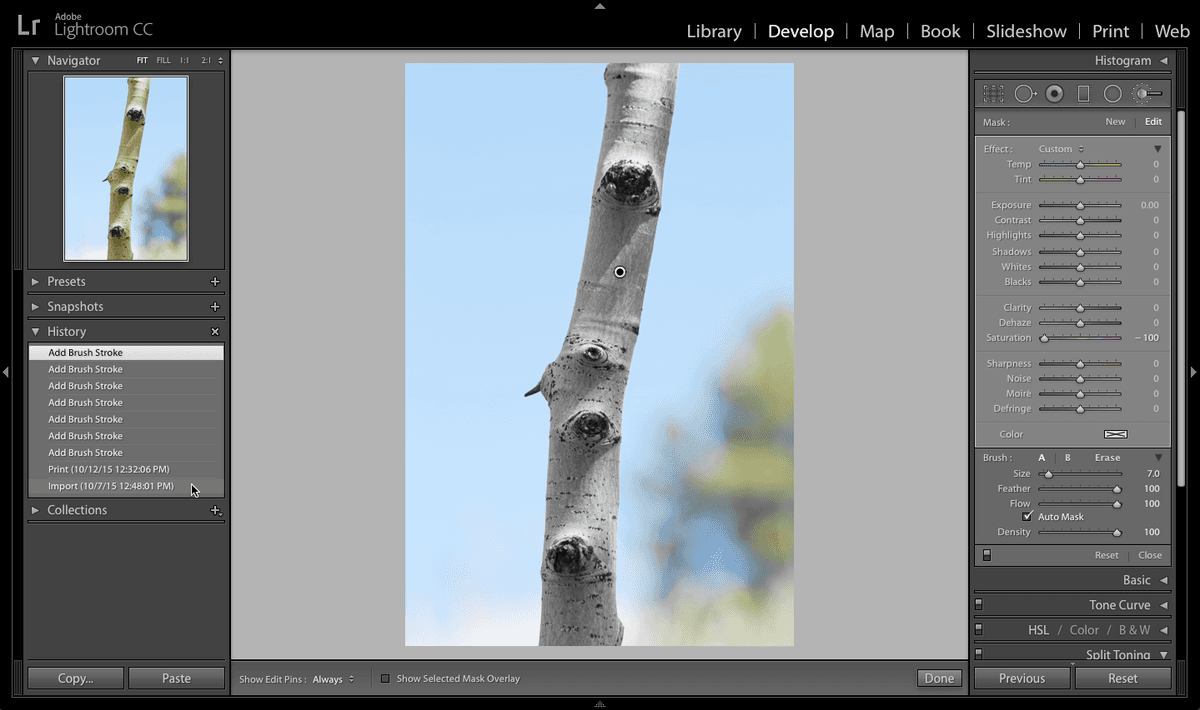 lightroom previewB7