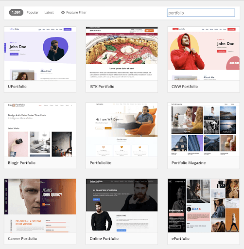 WordPress theme search results showing portfolio themes available for designers