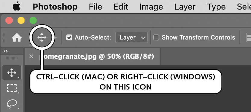 options bar show tool