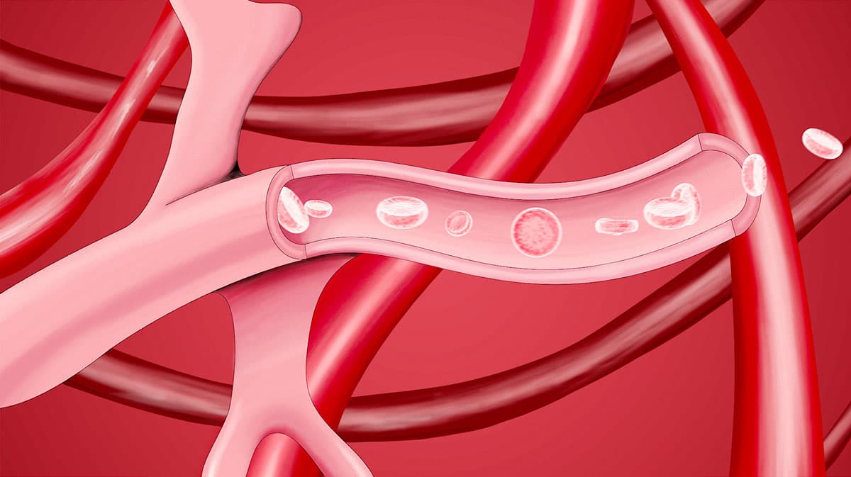 preview medical anim