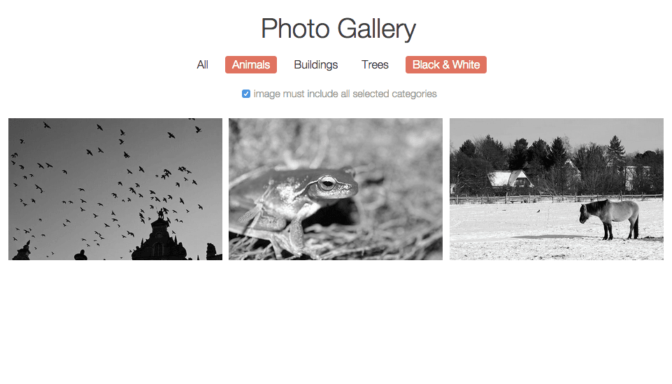 ex prev gallery exclusive filter
