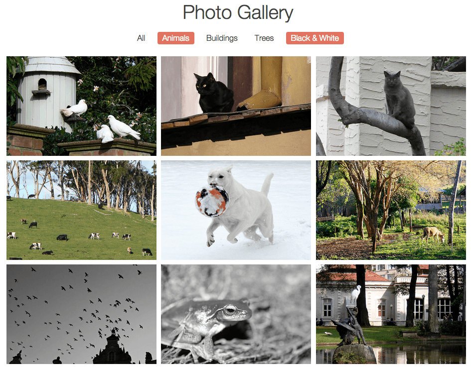 ex prev gallery inclusive filter
