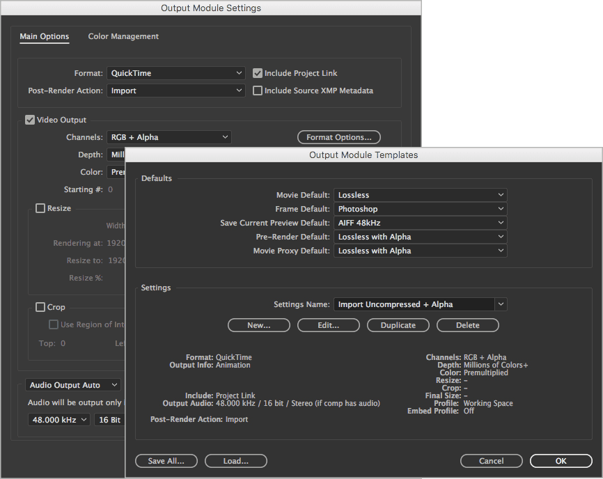 Rendering & Exporting Options — After Effects