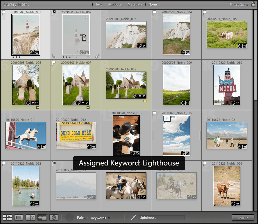 lightroom preview2B