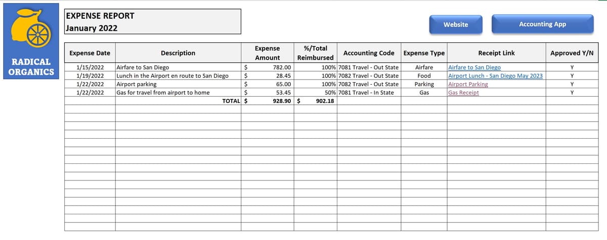 Professionally formatted Excel expense report with borders, colors, and organized data