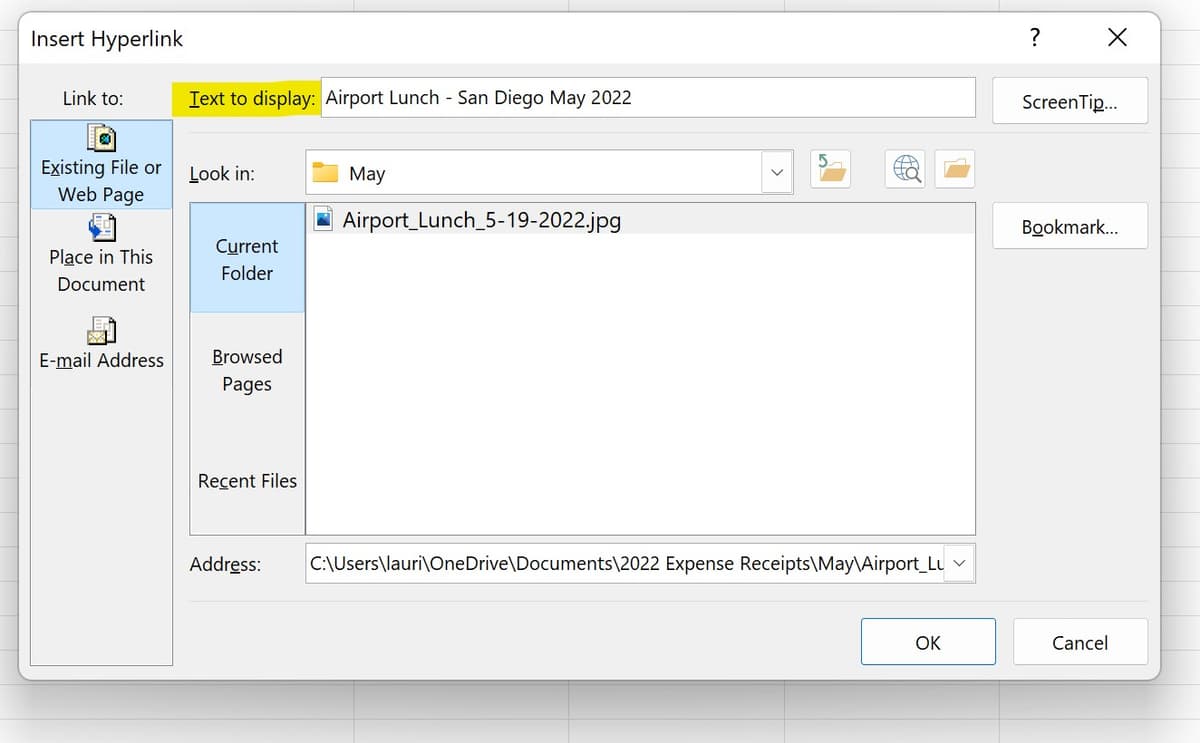 Excel Insert Hyperlink dialog with a descriptive name typed in the Text to Display field