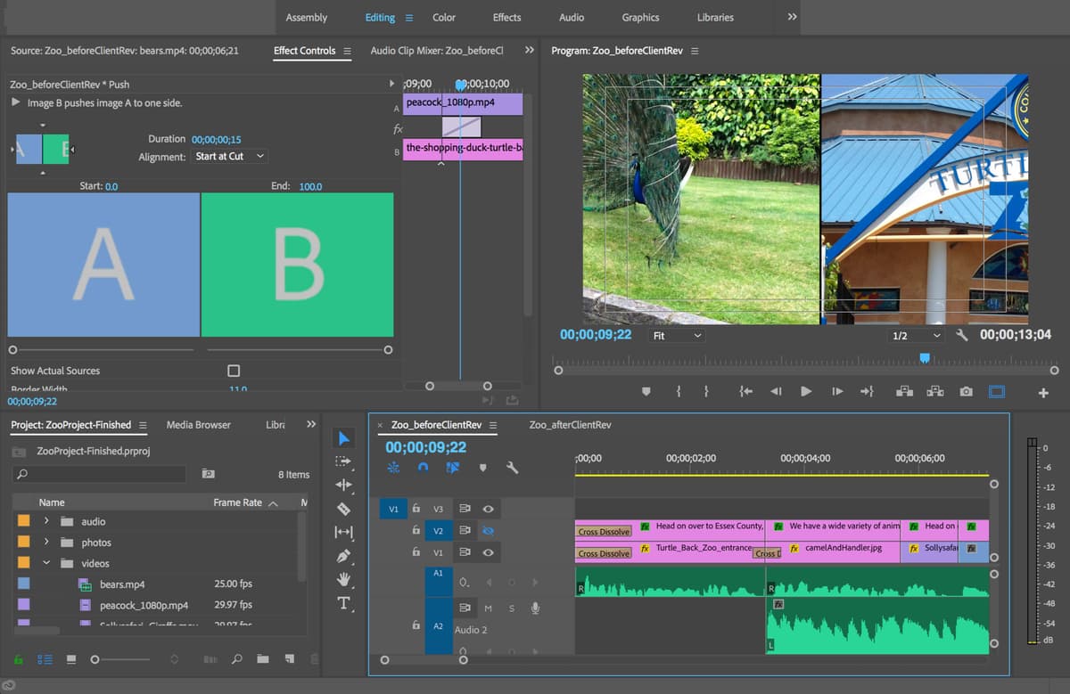 ex prev zoo transitions