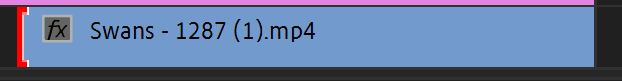 Left edge of the Swans footage clip on the Premiere Pro Timeline
