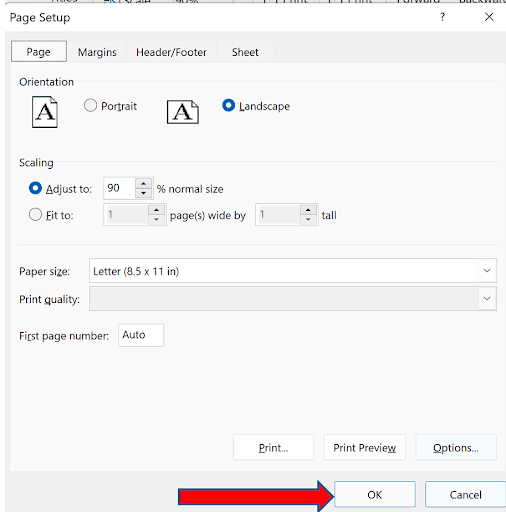 Print preview of Sheet2 now showing the same page setup settings inherited from Sheet1