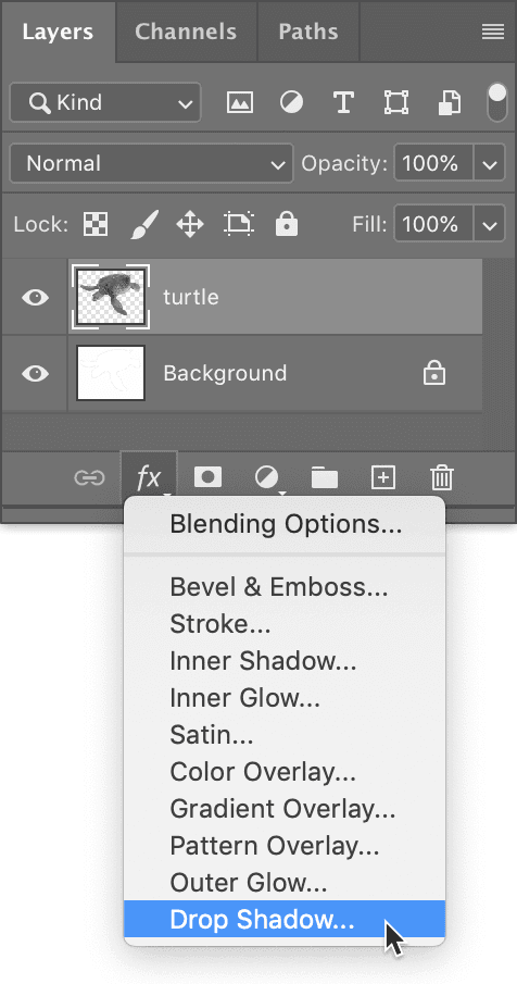 turtle layer add drop shadow