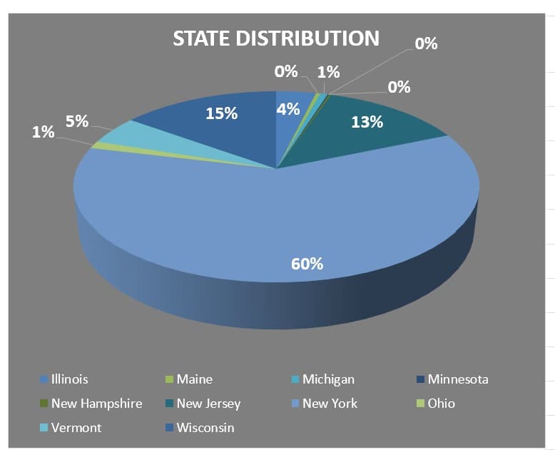 Example charts in an Excel report showing data visualized as bar and pie charts