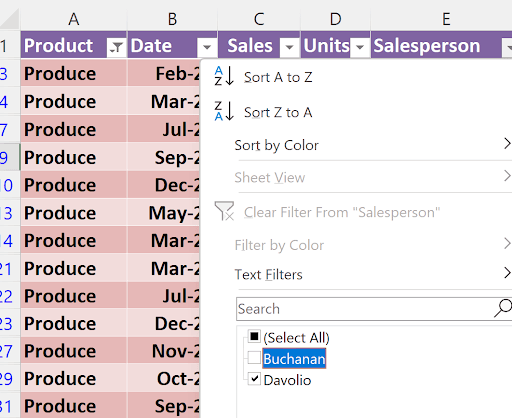 Salesperson in Filtering Data In Excel