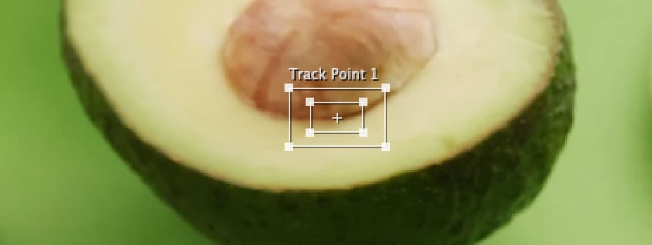 track point avocado