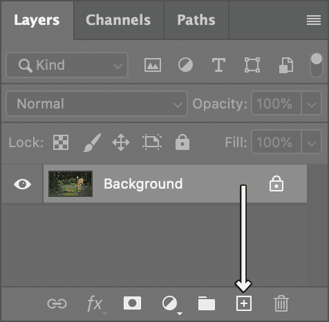 duplicate layer