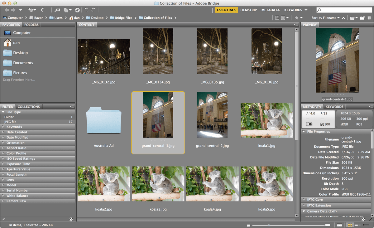 bridge organizing files