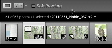 resize the toolbar