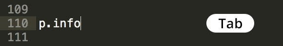 Ct quick tag css