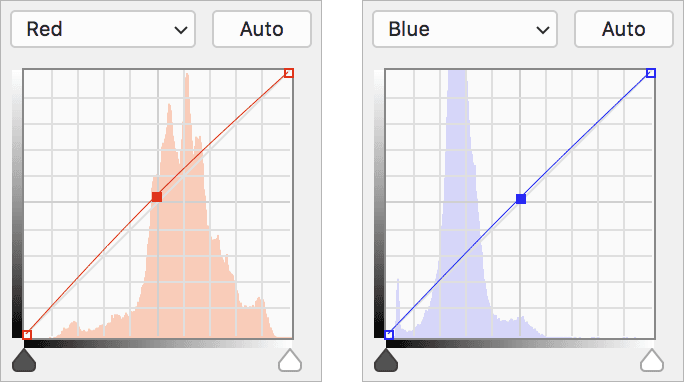 lifestyle arm red&blue