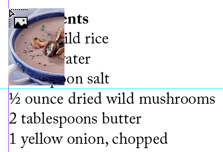 place mushroom image