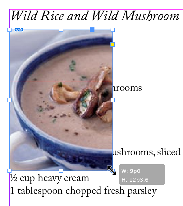 scale mushroom image