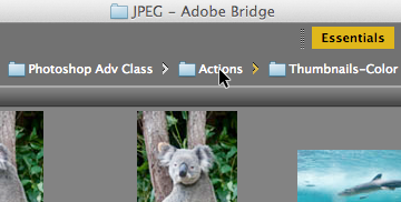bridge click actions folder from thumb color