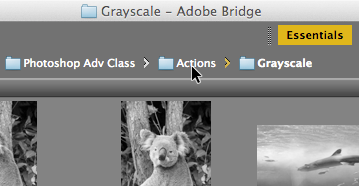 bridge click actions folder