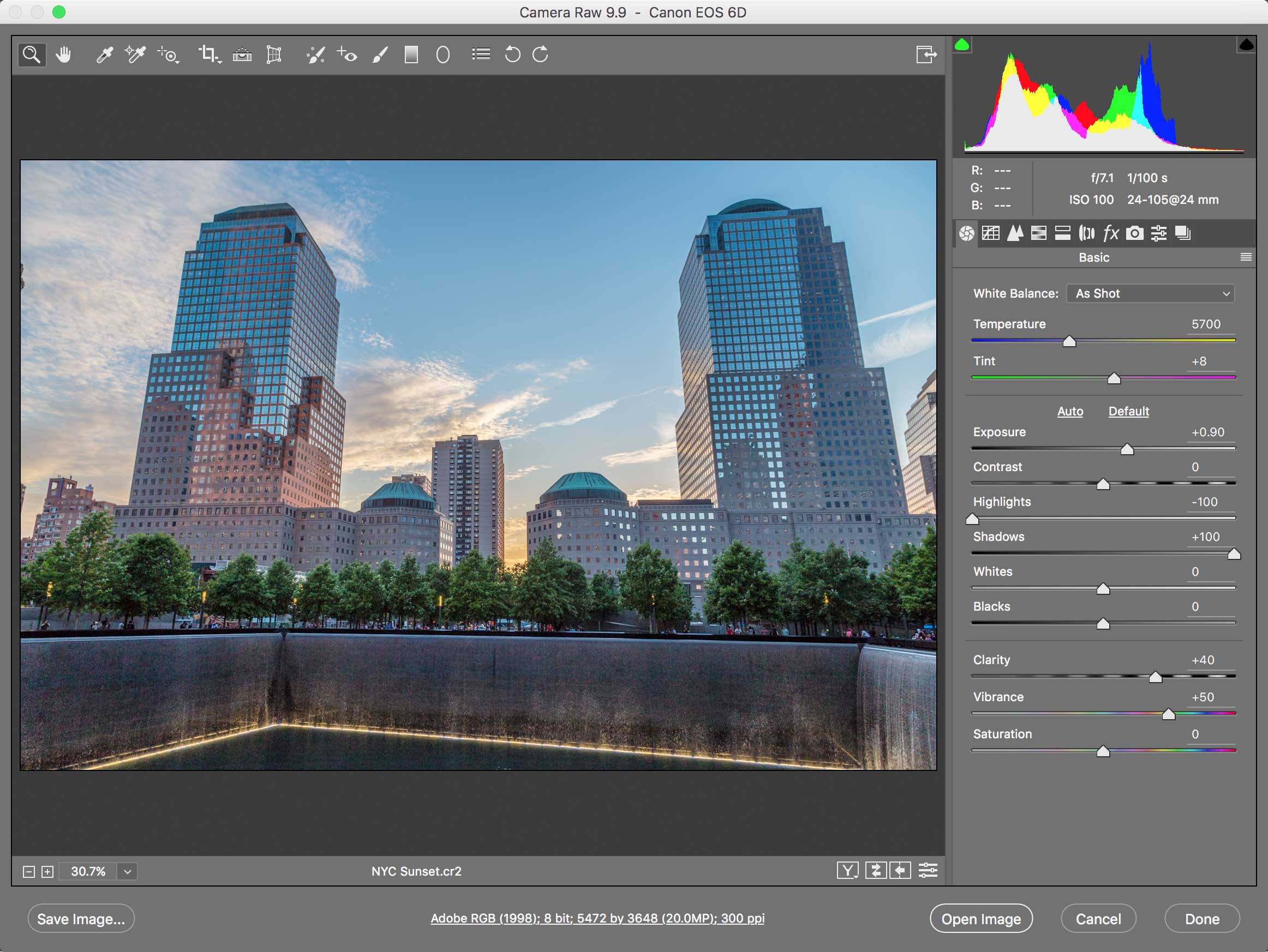 preview camera raw basics