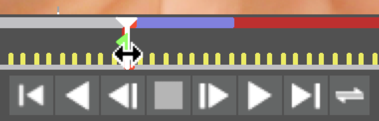 mocha playhead beginning