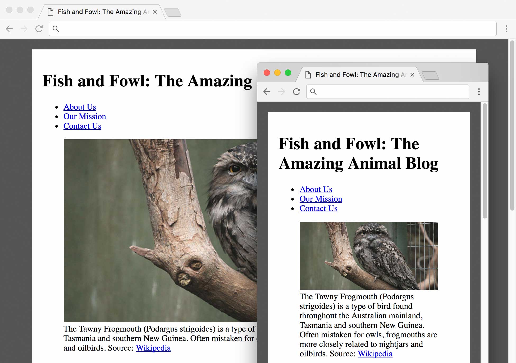 fluid layout preview