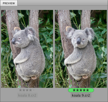 bridge comparing images