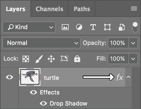 turtle layer drop shadow effects