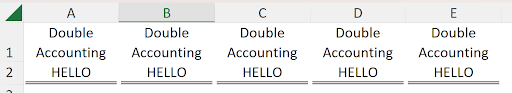 Close-up view showing small gaps at the edges of accounting underlines