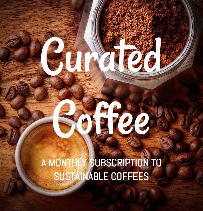 curated coffee large line height