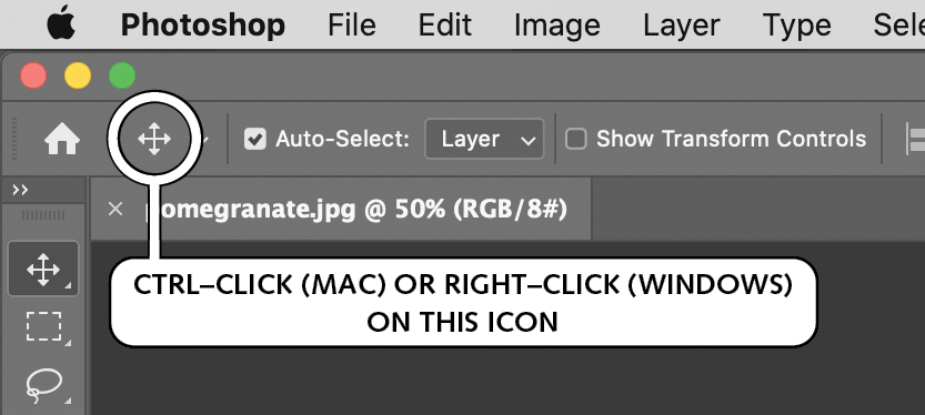 options bar show tool