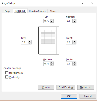 Page Setup dialog box showing custom margin settings with input fields for top, bottom, left, and right margins