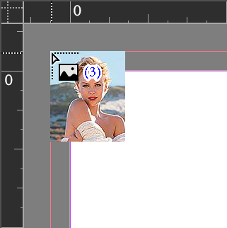 place charlize logo and text