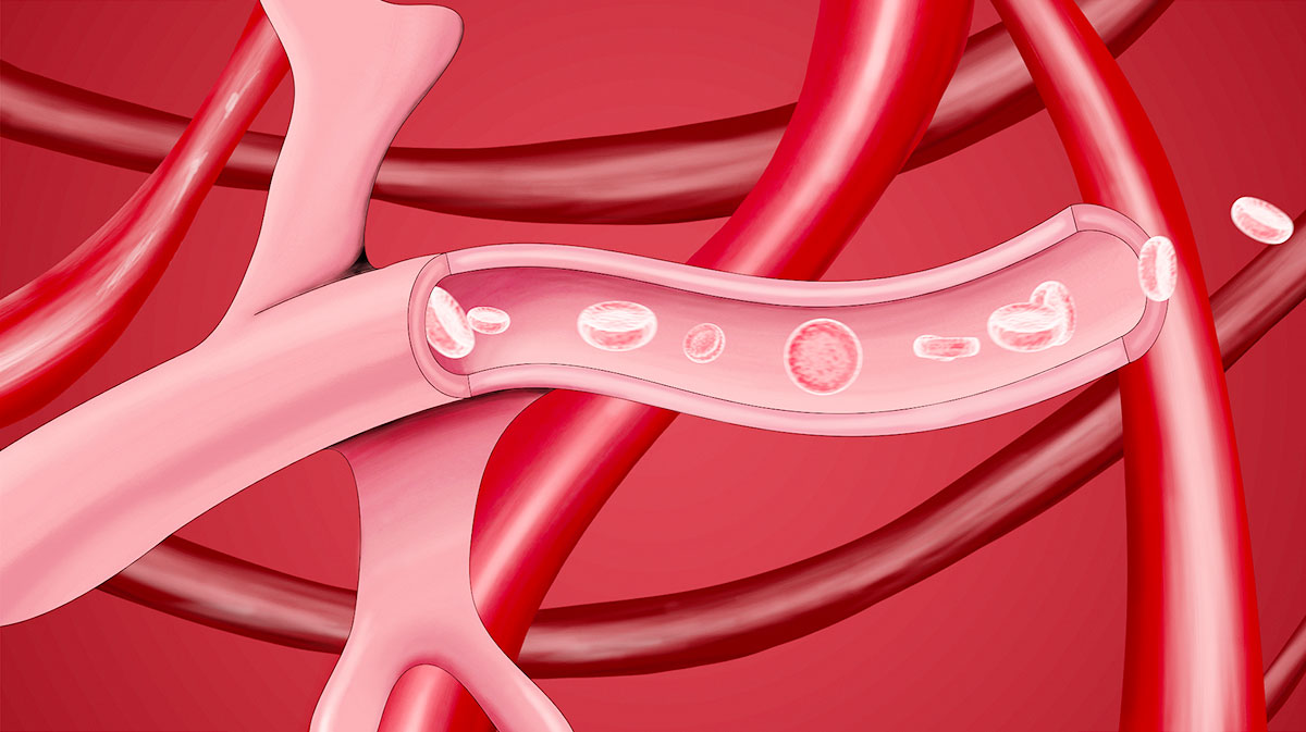 preview medical anim