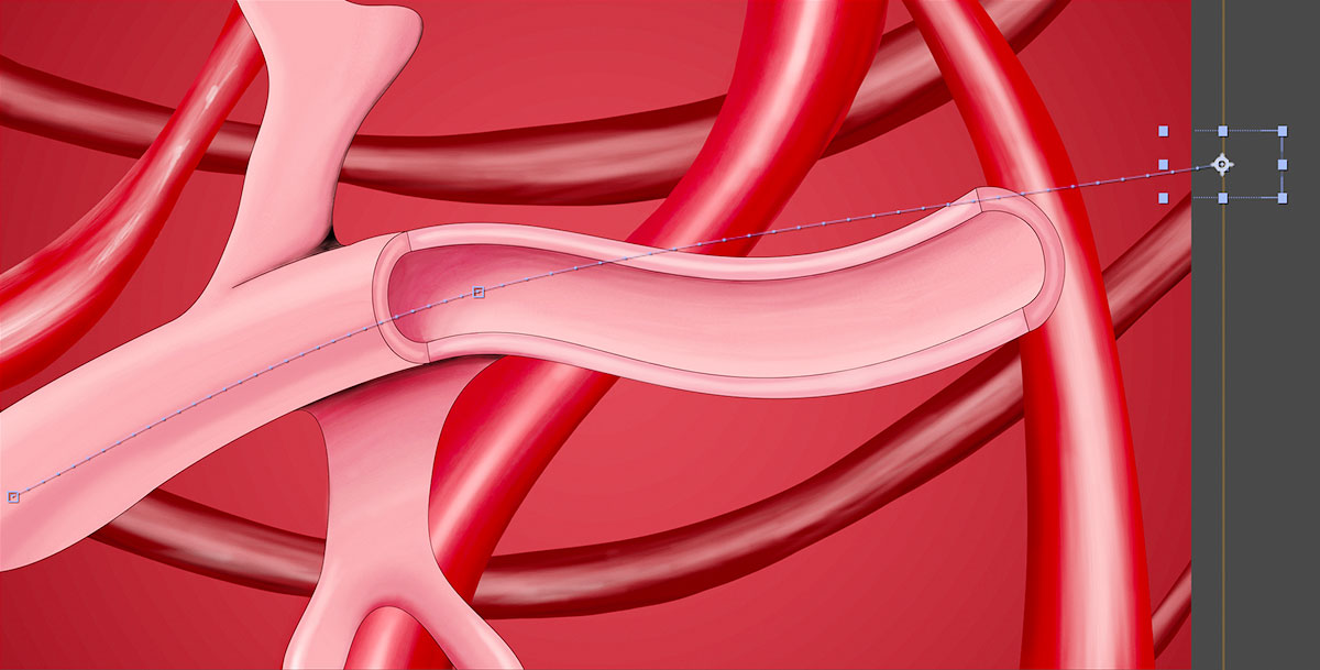 animateVideoFiles 03