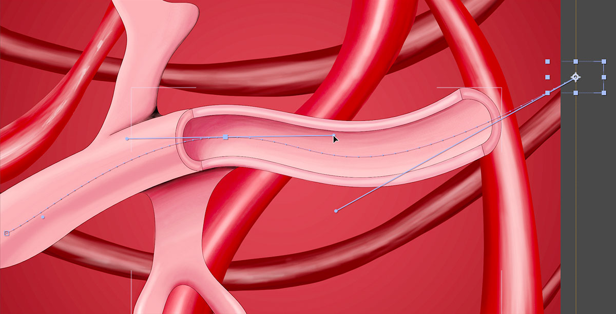 animateVideoFiles 05