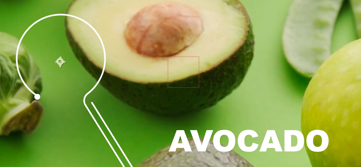 avocado 01