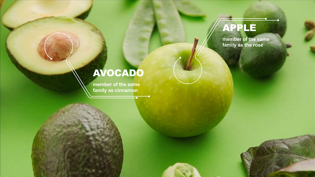 preview motion tracking