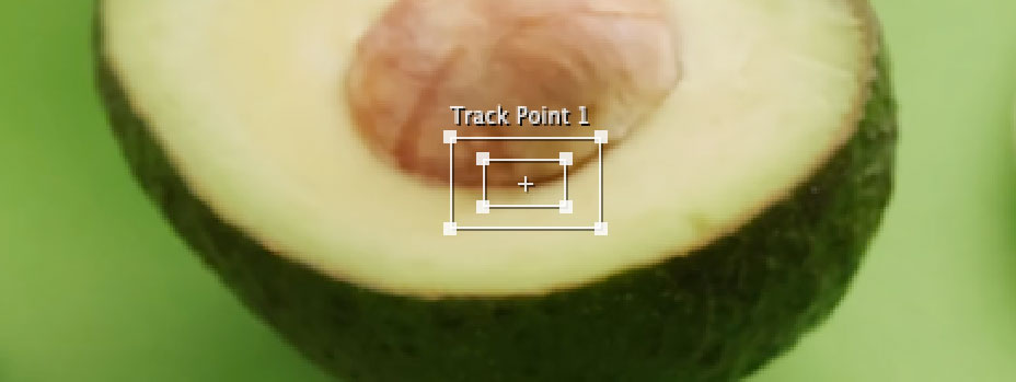 track point avocado