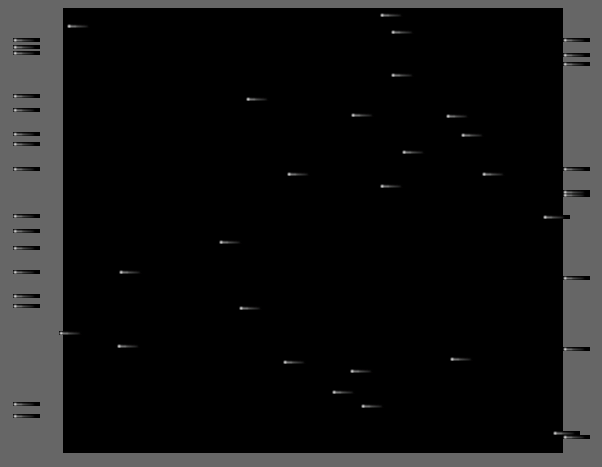 promo starfield exercise preview